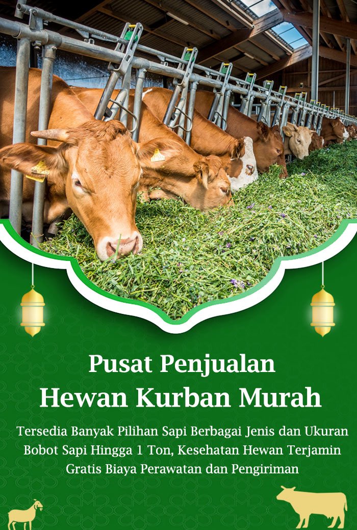 harga hewan qurban jakarta depok bekasi bogor tangerang